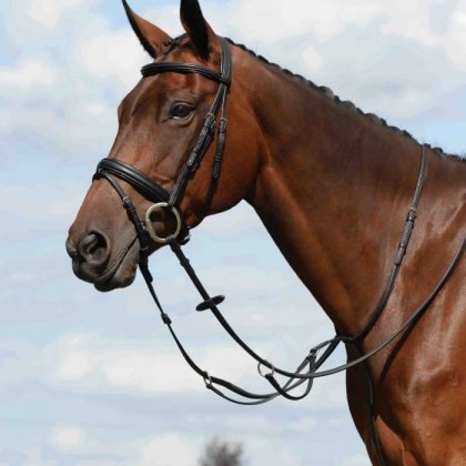 Collegiate Syntovia+ Plain Flat Running Martingale Collegiate Syntovia+ Plain Flat Running Martingale