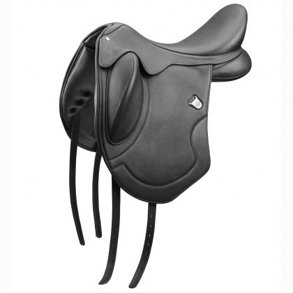 Bates Dressage Dressage