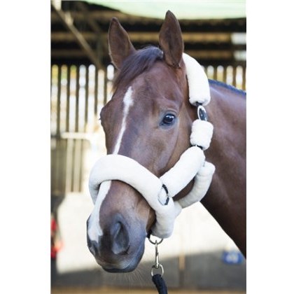 Ecorider Deluxe Headcollar