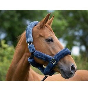 Ecorider Deluxe Headcollar