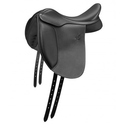 Arena Cob Dressage Arena Cob Dressage