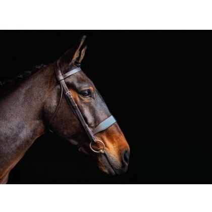 Cameo Equine Core Collection Hunt Bridle Cameo Equine Core Collection Hunt Bridle