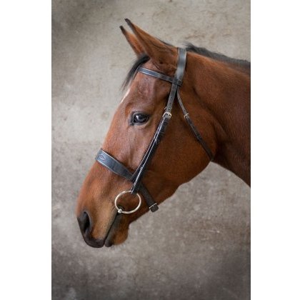 Ecorider Show Bridle Ecorider Show Bridle