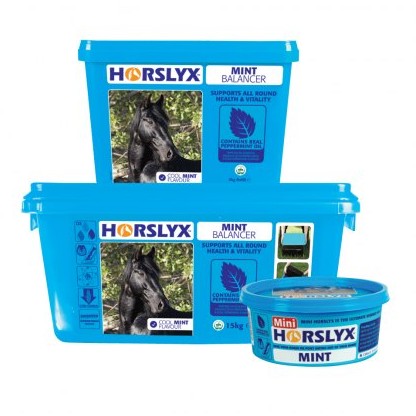Horslyx Mint Horslyx Mint
