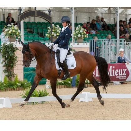 LeMieux Competition Dressage Cotton Square LeMieux Competition Dressage Cotton Square