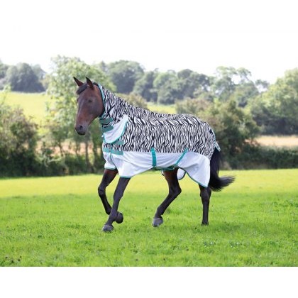 Shires Tempest Original Zeb-Tek Fly Combo Shires Tempest Original Zeb-Tek Fly Combo
