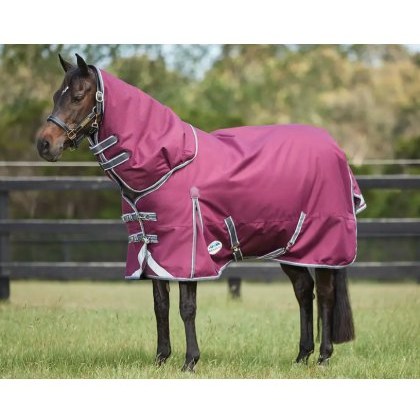 Weatherbeeta Comfitec Plus Dynamic II Detach-A-Neck Medium Weatherbeeta Comfitec Plus Dynamic II Detach-A-Neck Medium