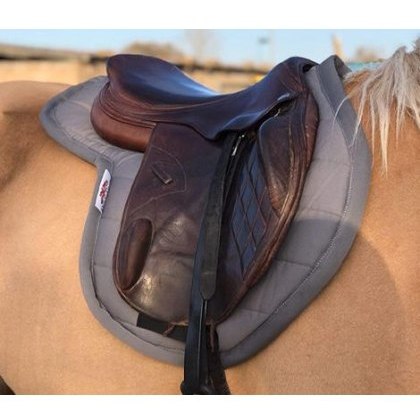 PolyPads Pony Forma PlusOne PolyPads Pony Forma PlusOne
