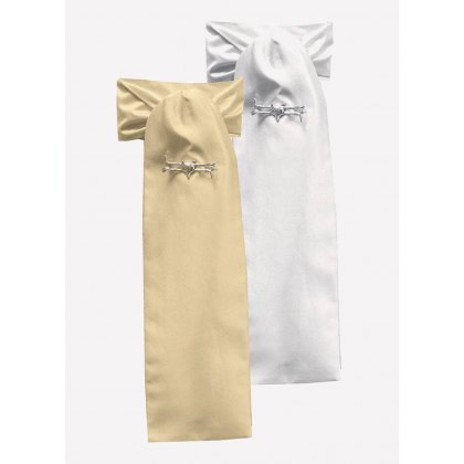 Ties & Stocks