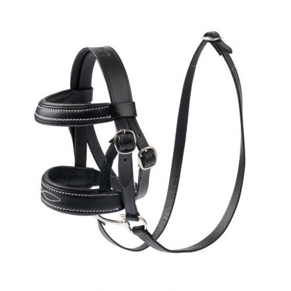 LeMieux Mini LeMieux Pony Bridle LeMieux Mini LeMieux Pony Bridle