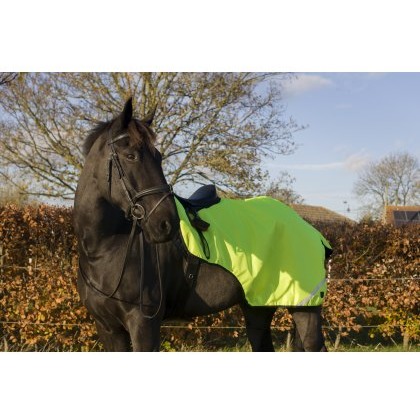 Cameo Equine Wrap Around Exercise Sheet Cameo Equine Wrap Around Exercise Sheet