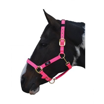 Hy Deluxe Padded Headcollar
