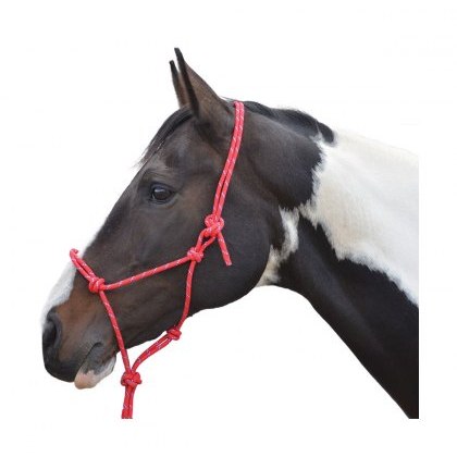 Hy Rope Halter