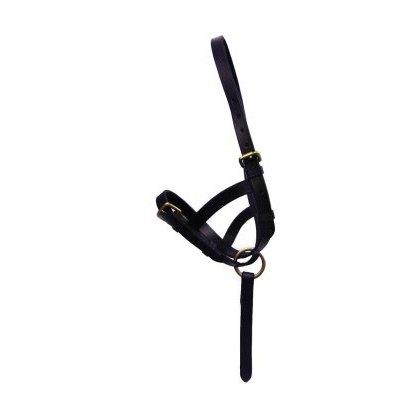 Hy Leather Foal Slip