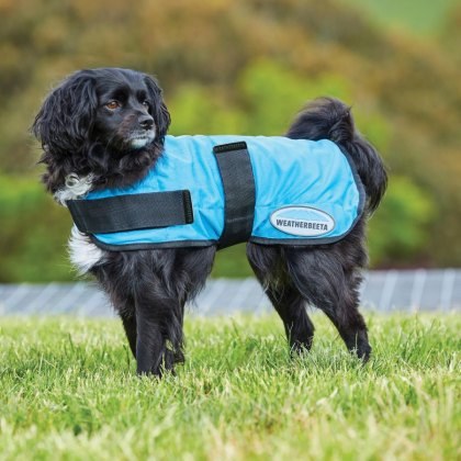 Weatherbeeta Therapy-Tec Cooling Dog Coat Weatherbeeta Therapy-Tec Cooling Dog Coat