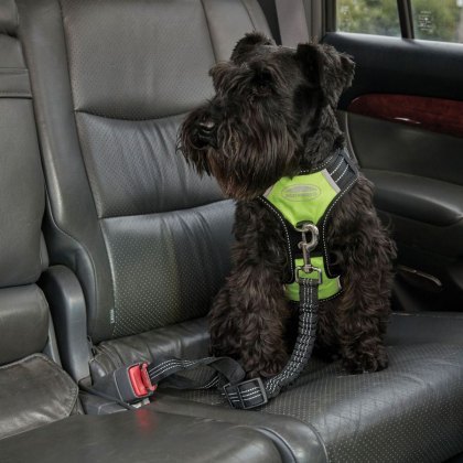 Weatherbeeta Anti Pull/Travel Harness Weatherbeeta Anti Pull/Travel Harness