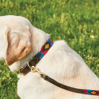 Weatherbeeta Polo Leather Dog Collar Weatherbeeta Polo Leather Dog Collar