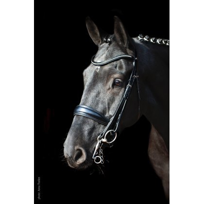 Schockemohle Milan Bridle Schockemohle Milan Bridle