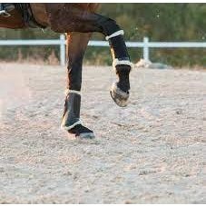 LeMieux Fleece Lined Brushing Boot LeMieux Fleece Lined Brushing Boot