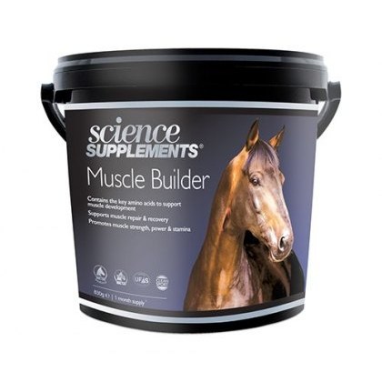 Science Supplements Muscle Builder Science Supplements Muscle Builder