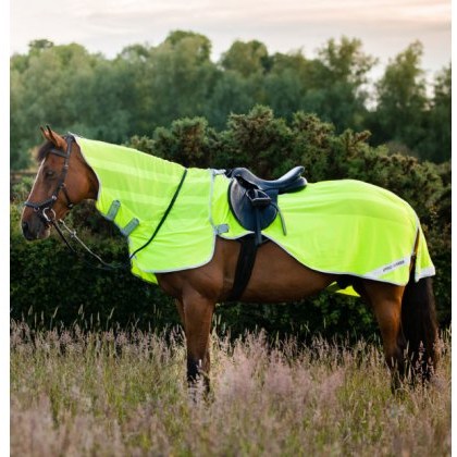Amigo Flyrider Amigo Flyrider