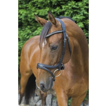 Ecorider Ecosoft Acclaim Bridle Ecorider Ecosoft Acclaim Bridle