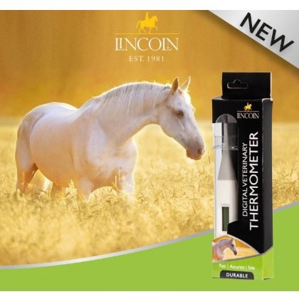 Lincoln Digital Thermometer