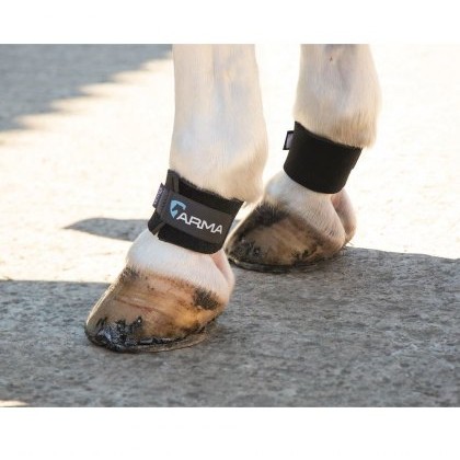 Shires ARMA Pastern Wrap Shires ARMA Pastern Wrap