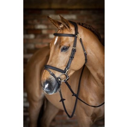 LeMieux Work Bridle LeMieux Work Bridle