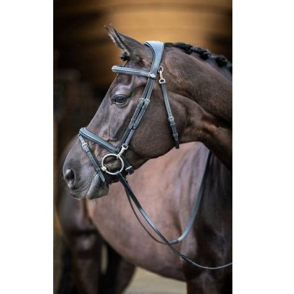 LeMieux Work Bridle LeMieux Work Bridle
