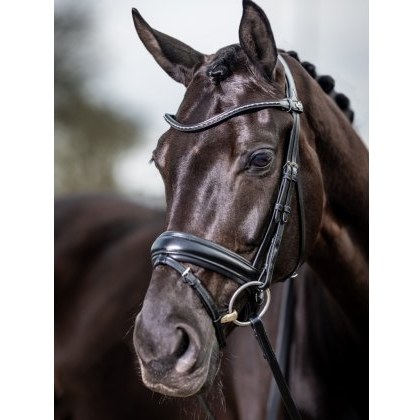 LeMieux Classic Dressage Bridle LeMieux Classic Dressage Bridle