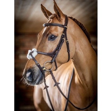 LeMieux Grackle Bridle LeMieux Grackle Bridle