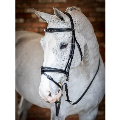 LeMieux Competition Flash Bridle LeMieux Competition Flash Bridle