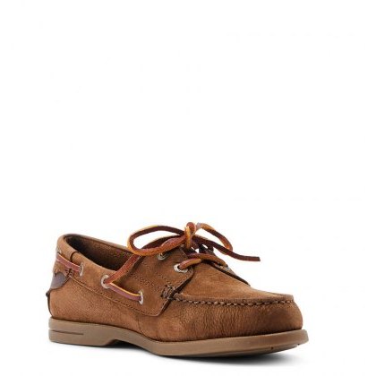 Ariat Antigua - Chocolate Brown Ariat Antigua - Chocolate Brown