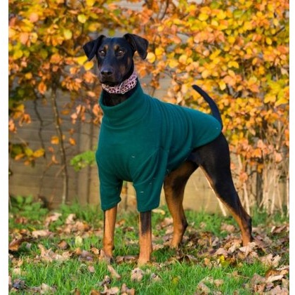 Cameo Equine Cosy Fleece Jumper Cameo Equine Cosy Fleece Jumper