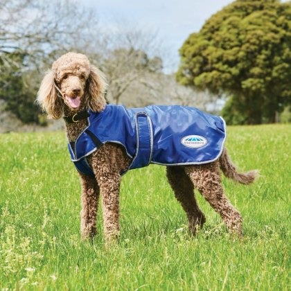 Weatherbeeta Comfitec Windbreaker Free Deluxe Weatherbeeta Comfitec Windbreaker Free Deluxe