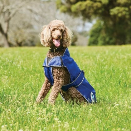 Weatherbeeta Comfitec Windbreaker Free Deluxe Weatherbeeta Comfitec Windbreaker Free Deluxe