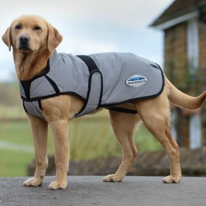 Weatherbeeta Comfitec Reflective Dog Coat Weatherbeeta Comfitec Reflective Dog Coat