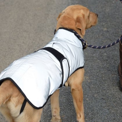 Weatherbeeta Comfitec Reflective Dog Coat Weatherbeeta Comfitec Reflective Dog Coat