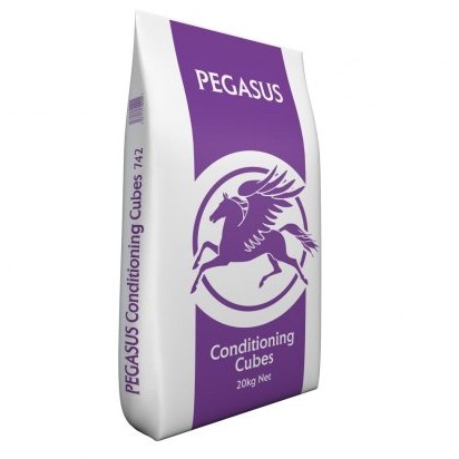Pegasus Conditioning Cubes Pegasus Conditioning Cubes