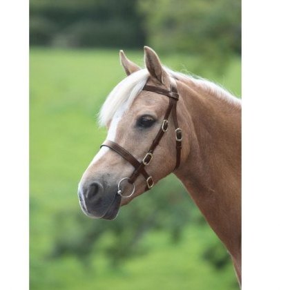 Shires Velociti GARA Plain Inhand Bridle Shires Velociti GARA Plain Inhand Bridle