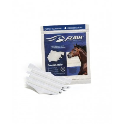 Flair Nasal Strips Flair Nasal Strips