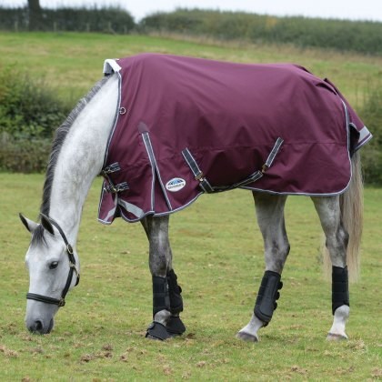 Weatherbeeta Comfitec Plus Dynamic II Standard Neck Lite Weatherbeeta Comfitec Plus Dynamic II Standard Neck Lite