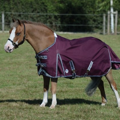 Weatherbeeta Comfitec Plus Dynamic II Standard Neck Lite Weatherbeeta Comfitec Plus Dynamic II Standard Neck Lite