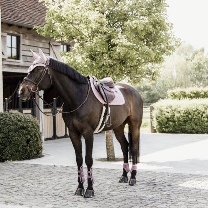 Kentucky Tendon Boots Bamboo Shield - Elastic - Old Rose Kentucky Tendon Boots Bamboo Shield - Elastic - Old Rose