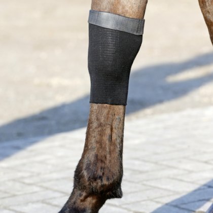 Kentucky Tendon Grip Gel Sock Kentucky Tendon Grip Gel Sock