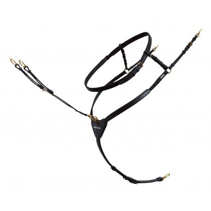 Passier Ingrid Klimke Breastplate Passier Ingrid Klimke Breastplate
