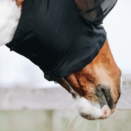Kentucky Fly Mask Slim Fit Kentucky Fly Mask Slim Fit