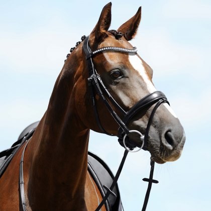 Passier Atlas Snaffle Bridle w/ Rubber Reins Passier Atlas Snaffle Bridle w/ Rubber Reins