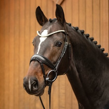 Passier Favorite Klimke Snaffle Bridle w/ Rubber Reins Passier Favorite Klimke Snaffle Bridle w/ Rubber Reins